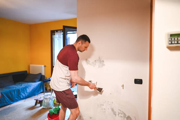 Best Professional Mold Removal  in Juneau, AK
